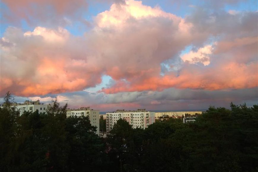 Zdjęcie do oferty EW0241 z GDAŃSK OLIWA