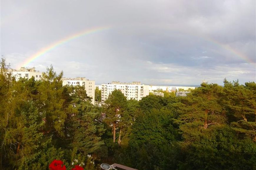 Zdjęcie do oferty EW0241 z GDAŃSK OLIWA